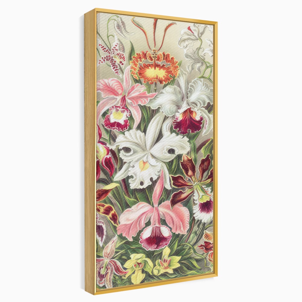 Tablou canvas cu ilustratie botanica cu orhidee multicolore, in rama de aluminiu auriu